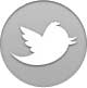 StoryBoard Quick Twitter PowerProduction